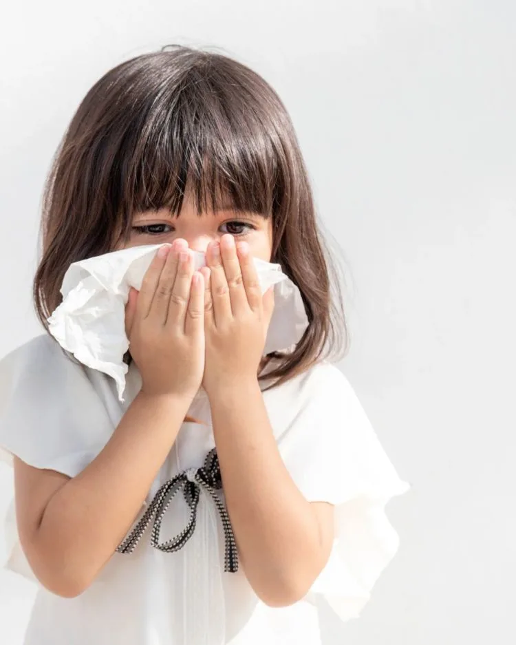 La tos ferina regresa a Yucatán: ¿Cómo prevenir y reconocer sus primeros signos?