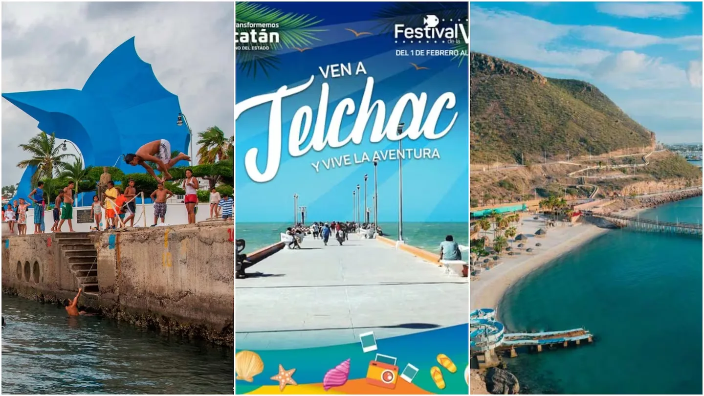 ¿Multas por pescar? estas son las 4 nuevas playas protegidas en Yucatán, Colima y BCS